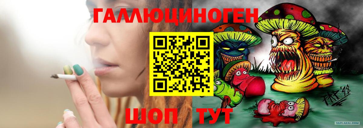 Псилоцибиновые грибы Psilocybine cubensis  Вход с VPN  Псилоцибиновые грибы Magic Shrooms  Губкинский 
